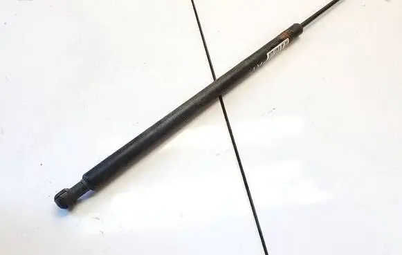 Front bonnet/hood damper/strut