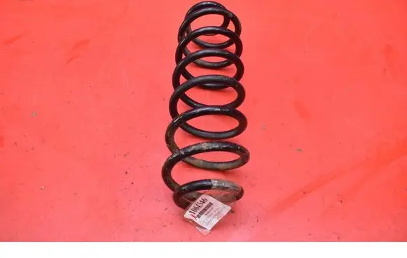 Volkswagen PASSAT B6 Rear coil spring 
