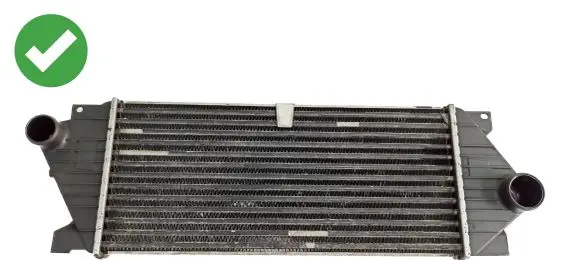 Mercedes-Benz ML W163 Intercooler radiator 0005422818