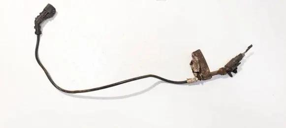 Ford Focus Other wiring loom