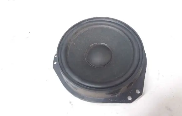 Rear door speaker