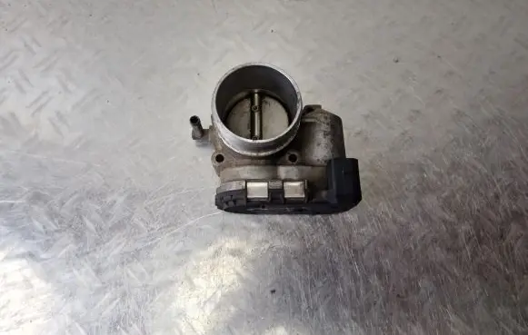 Volkswagen New Beetle Throttle valve 06A133062J