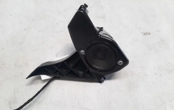 Front door speaker