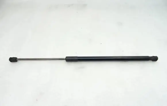 Tailgate strut