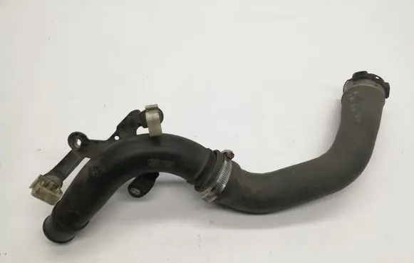 Nissan Juke I F15 Intercooler hose/pipe 144609921R