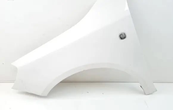 Skoda Praktik (5J8) Fender
