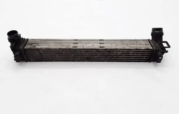 Renault Megane III Intercooler radiator 144960006R