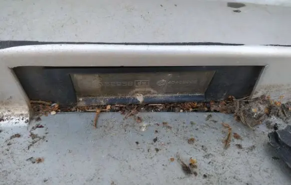 Number plate light