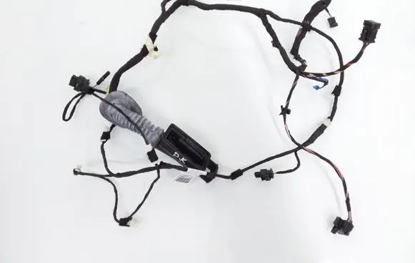 Front door wiring loom