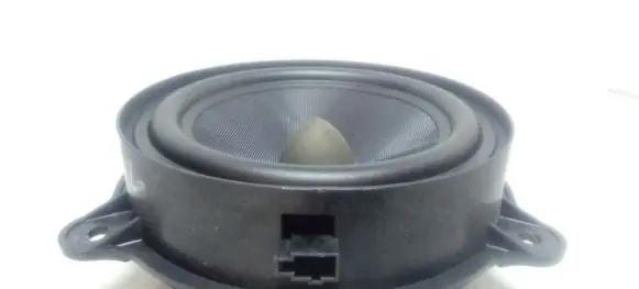 Renault Laguna III Rear door speaker