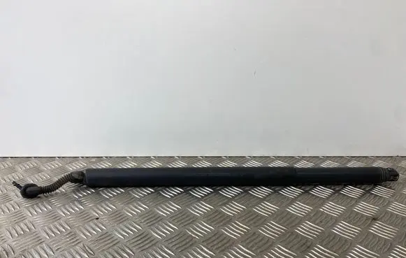 Tailgate/trunk strut/damper