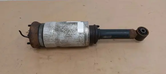 Land Rover Range Rover Sport L320 Air suspension front shock absorber 22249855