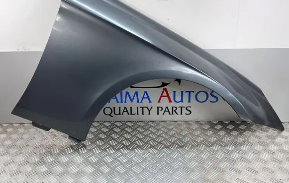 Mercedes-Benz CLS C219 Fender 