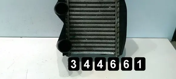 Smart ForTwo I Coolant radiator 0003007V003