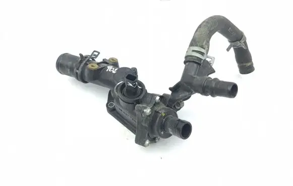 Thermostat/thermostat housing