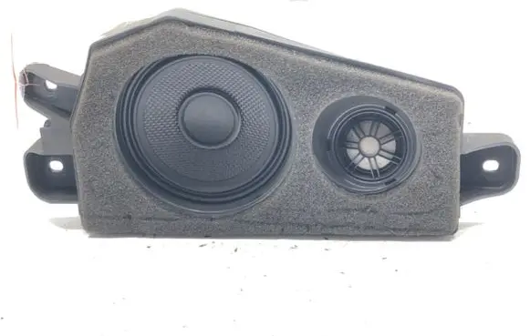 Front door speaker