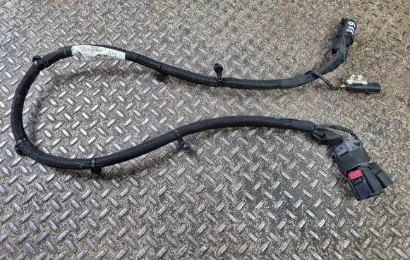 Other wiring loom
