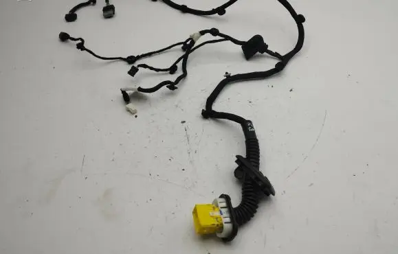 Citroen C4 III e-C4 Rear door wiring loom 9840756380