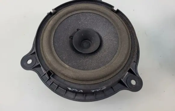Nissan Pathfinder R51 Rear door speaker