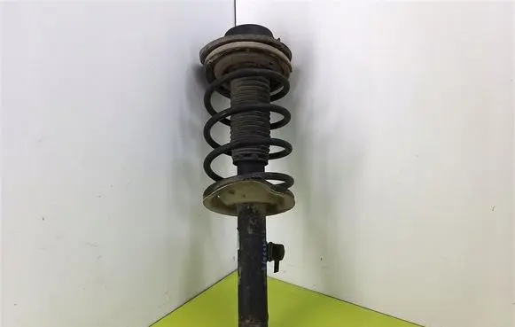 Peugeot 206 Front shock absorber with coil spring