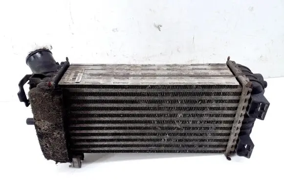 Ford C-MAX II Intercooler radiator 8V619L440CE