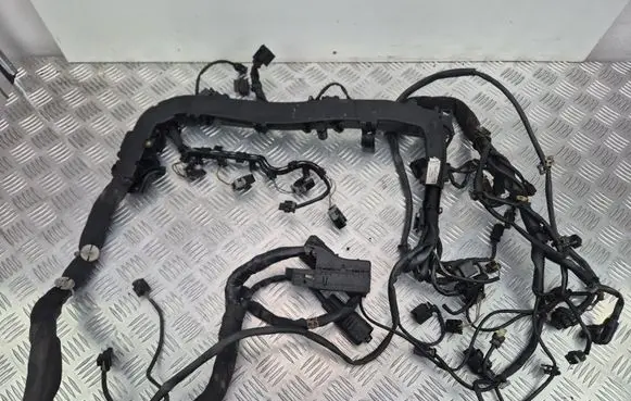 Mercedes-Benz Sprinter W906 Engine installation wiring loom A65101508656 A6511592725