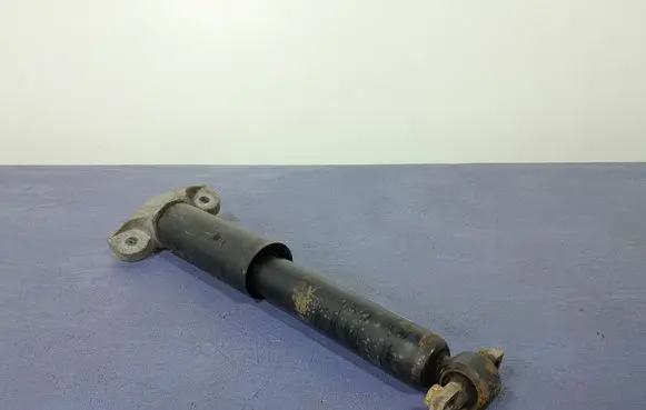 Ford Mustang VI Rear shock absorber/damper FR3C18W002