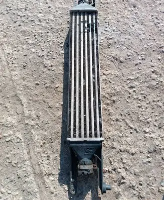 Fiat Punto (199) Intercooler radiator
