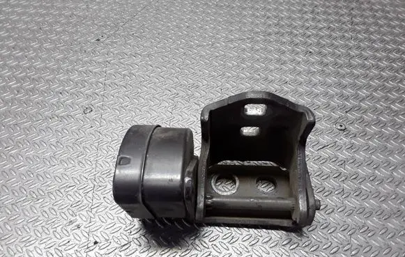 Renault Scenic II - Grand scenic II Rear door lower hinge