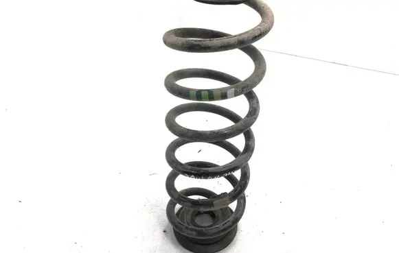 Rear coil spring