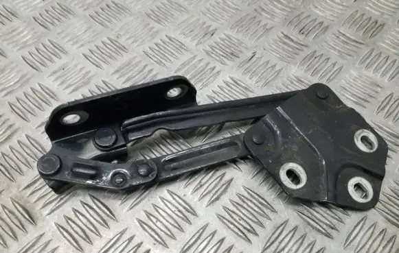 Volkswagen Touran I Tailgate/trunk/boot hinge 1T0823301