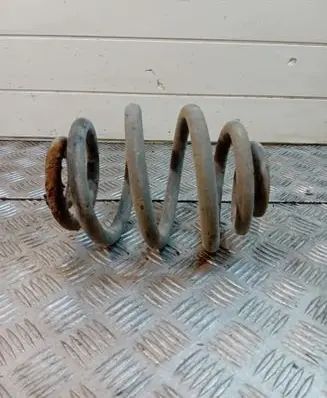 Rear coil spring