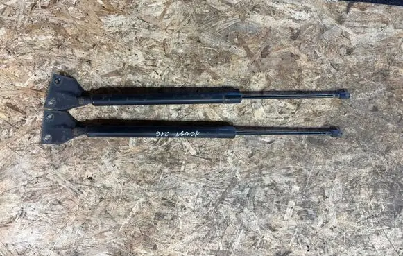 Ford Transit Custom Tailgate/trunk strut/damper BK21V406A10DA