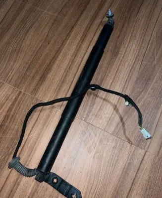 Tailgate/trunk strut/damper