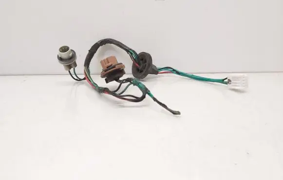 Tail light bulb cover holder