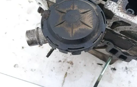 EGR valve