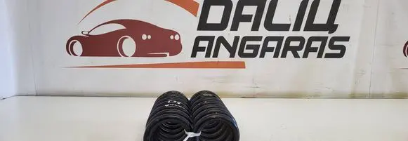 Rear coil spring