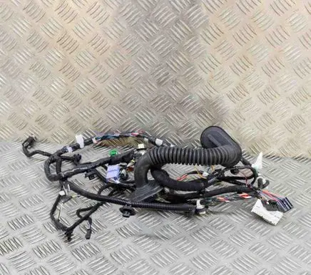 Tesla Model 3 Front door wiring loom 306795702C