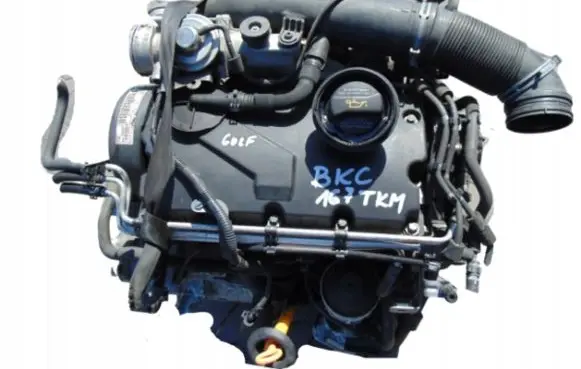 Volkswagen PASSAT B6 Engine BKC