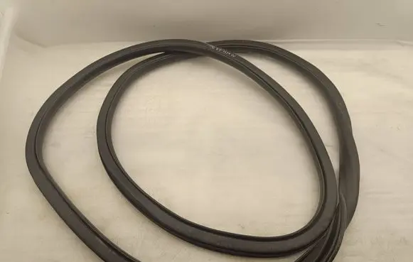 Ford Mach-E I Rear door rubber seal (on body) LJ8BR253A10