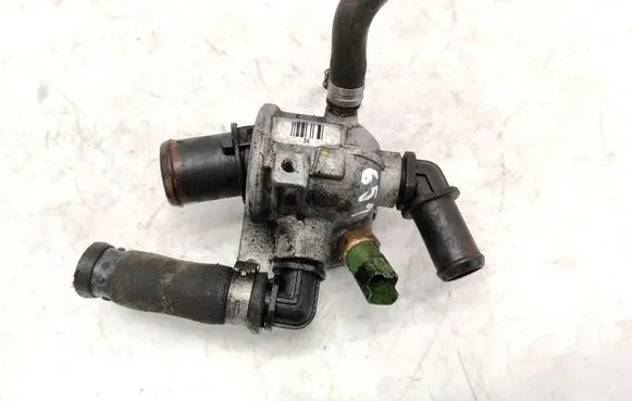 Thermostat/thermostat housing
