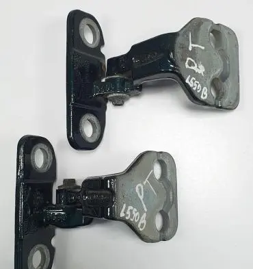 Land Rover Discovery Sport Rear door hinge set 