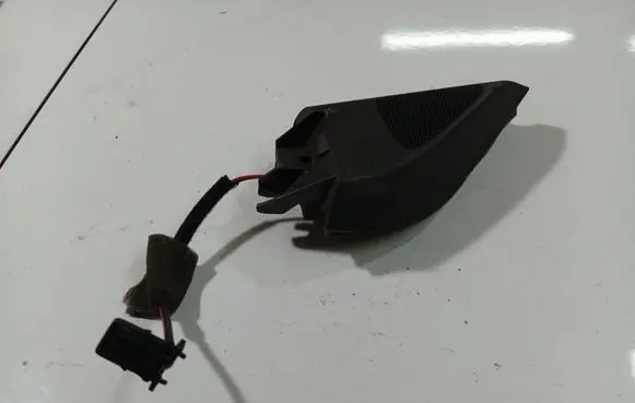 Volkswagen PASSAT B6 Front door speaker 