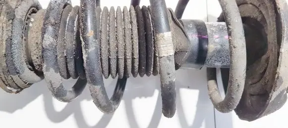 Opel Insignia A Front coil spring
