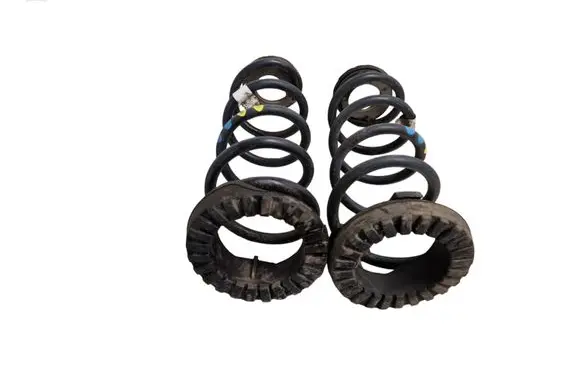 Rear coil spring