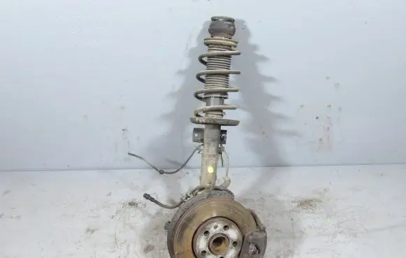 Skoda Roomster (5J) Front shock absorber with coil spring