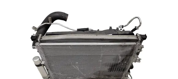 Dodge Charger Radiator set 