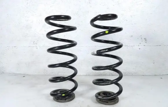 Rear coil spring