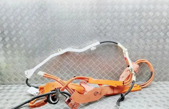 Lexus GS 250 350 300H 450H Other wiring loom 8216430180