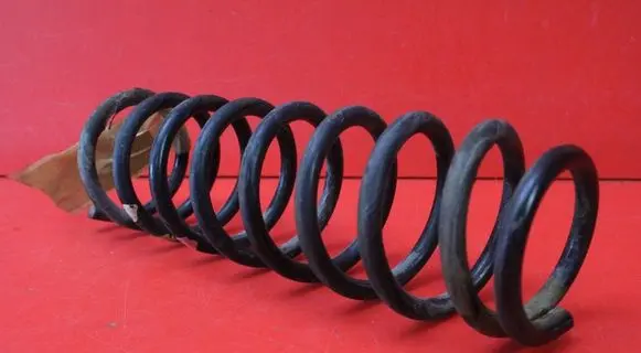 Rear coil spring